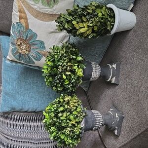 Preserved Boxwood Topiary in White/grey Urn